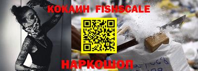 индика Камышлов