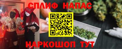индика Камышлов
