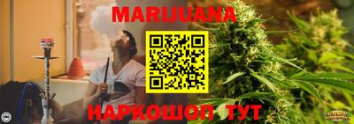 индика Камышлов