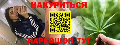 индика Камышлов