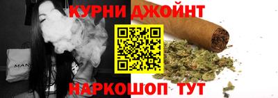 индика Камышлов
