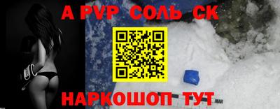 индика Камышлов