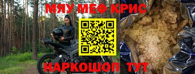 индика Камышлов