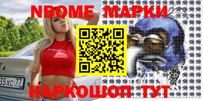индика Камышлов